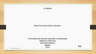 La Malaria
Maria Fernanda Cañon Camacho
Universidad de Ciencias aplicadas y Ambientales
Medicina veterinaria
Informática Básica
Bogotá
2016Maria Fernanda Cañon 1
 