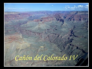 Cañón del Colorado IV
 