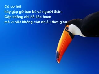 Có cơ hội  hãy gặp gỡ bạn bè và người thân. Gặp không chỉ để liên hoan mà vì biết không còn nhiều thời gian 