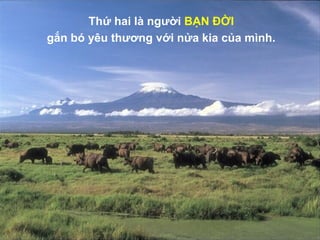 Thứ hai là người BẠN ĐỜI
gắn bó yêu thương với nửa kia của mình.
 