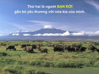 Thứ hai là người  BẠN ĐỜI gắn bó yêu thương với nửa kia của mình. 