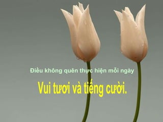 Điều không quên thực hiện mỗi ngày Vui tươi và tiếng cười. 