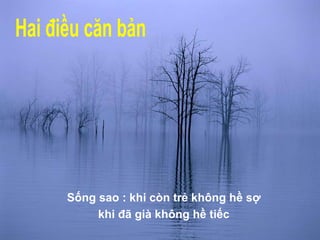 Sống sao : khi còn trẻ không hề sợ khi đã già không hề tiếc Hai điều căn bản 