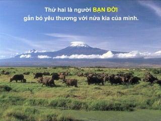 Thứ hai là người BẠN ĐỜI
gắn bó yêu thương với nửa kia của mình.
 