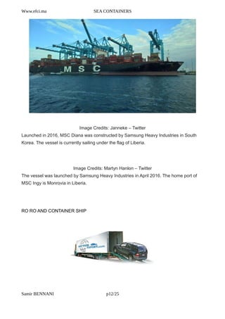 Caontainer types and container ships | PDF