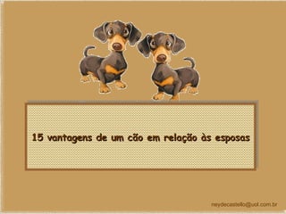 15 vantagens de um cão em relação às esposas [email_address] 