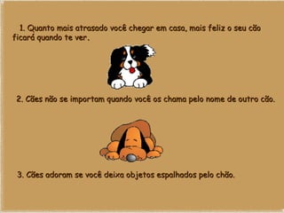     1. Quanto mais atrasado você chegar em casa, mais feliz o seu cão ficará quando te ver .    2. Cães não se importam quando você os chama pelo nome de outro cão.    3. Cães adoram se você deixa objetos espalhados pelo chão. 