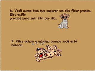 6. Você nunca tem que esperar um cão ficar pronto. Eles estão prontos para sair 24h por dia. 7. Cães acham o máximo quando você está bêbado. 