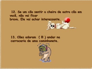   12. Se um cão sentir o cheiro de outro cão em você, não vai ficar bravo. Ele vai achar interessante. 13. Cães adoram  ( !!! ) andar na carroceria de uma caminhonete. 