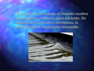 Si un barco la atraviesa, al instante recobra
su estructura original y sigue adelante. No
importa si hay vientos o tormentas, la
misma sigue su trayectoria inmutable.
 