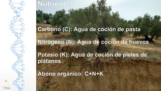 Nutrientes
Carbono (C): Agua de coción de pasta
Nitrógeno (N): Agua de coción de huevos
Potasio (K): Agua de coción de pieles de
plátanos
Abono orgánico: C+N+K
 