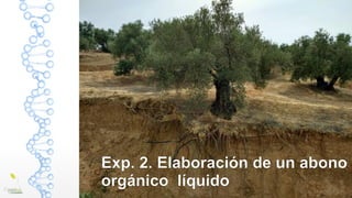 Exp. 2. Elaboración de un abono
orgánico líquido
 