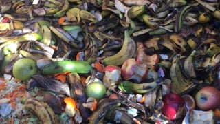 Nutrientes para las plantas
Carbono (C)
 