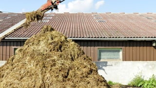 Nutrientes para las plantas
Carbono (C)
 