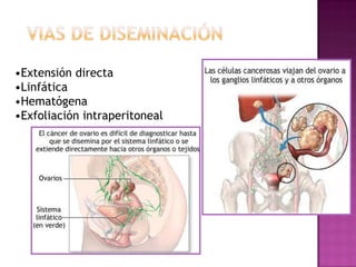 Tratamientos de esterilidad con inductores de la ovulación.Factores protectoresMultiparidad.Uso de anticonceptivos orales.SCB e histerectomía.Anovulación crónica.Lactancia.