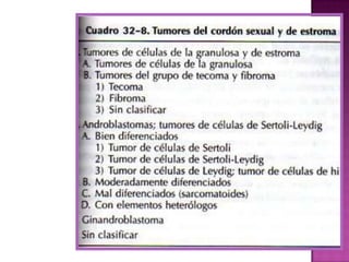 Presencia de tabiques (gruesos y/o irregulares). 