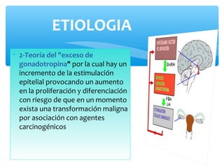 ETIOLOGIA
• 2-Teoría del "exceso de
gonadotropina" por la cual hay un
incremento de la estimulación
epitelial provocando un aumento
en la proliferación y diferenciación
con riesgo de que en un momento
exista una transformación maligna
por asociación con agentes
carcinogénicos
 
