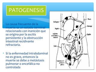 • La causa frecuente de la
muerte es un estado terminal
relacionado con inanición que
se origina por la ascitis
persistente y la obstrucción
intestinal recidivante
refractaria.
• Si la enfermedad intrabdominal
no es grave, entonces la
muerte se debe a metástasis
pulmonar o encefálica no
controlada
PATOGENESIS
 