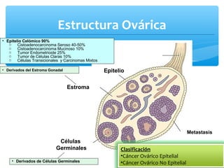 Estructura Ovárica
• Epitelio Celómico 90%
o Cistoadenocarcinoma Seroso 40-50%
o Cistoadenocarcinoma Mucinoso 10%
o Tumor Endometrioide 25%
o Tumor de Células Claras 10%
o Células Transicionales y Carcinomas Mixtos
• Derivados de Células Germinales
• Derivados del Estroma Gonadal
Metastasis
Epitelio
Estroma
Células
Germinales Clasificación
•Cáncer Ovárico Epitelial
•Cáncer Ovárico No Epitelial
 