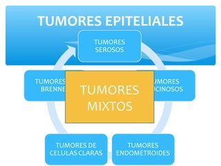 TUMORES EPITELIALES
TUMORES
MIXTOS
 