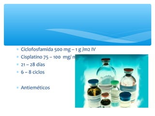 ∗ Ciclofosfamida 500 mg – 1 g /m2 IV
∗ Cisplatino 75 – 100 mg/ m2 IV
∗ 21 – 28 días
∗ 6 – 8 ciclos
∗ Antieméticos
 