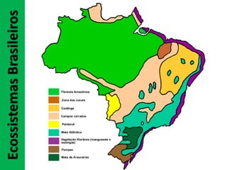 EcossistemasBrasileiros
 