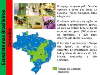 EcossistemasBrasileiros
Cerrados
O espaço ocupado pelo Cerrado
equivale à soma das áreas da
Espanha, França, Alemanha, Itália
e Inglaterra.
O número de insetos na região do
Cerrado é surpreendente: apenas
na área do Distrito Federal, há 90
espécies de cupins, 1000 espécies
de borboletas e 500 tipos
diferentes de abelhas e vespas.
O Cerrado é considerado o “berço
das águas”, ao abrigar as
nascentes de importantes bacias
hidrográficas da América do Sul:
Platina, Amazônica e São
Francisco.
 
