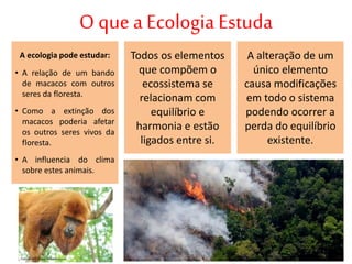Todos os elementos
que compõem o
ecossistema se
relacionam com
equilíbrio e
harmonia e estão
ligados entre si.
A ecologia pode estudar:
• A relação de um bando
de macacos com outros
seres da floresta.
• Como a extinção dos
macacos poderia afetar
os outros seres vivos da
floresta.
• A influencia do clima
sobre estes animais.
O que a Ecologia Estuda
A alteração de um
único elemento
causa modificações
em todo o sistema
podendo ocorrer a
perda do equilíbrio
existente.
 