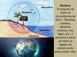 Biosfera:
O conjunto de
todos os
ecossistemas da
Terra – florestas,
campos,
desertos,
oceanos, rios,
lagos, etc., é
portanto a soma
de todas as
regiões do
planeta onde
possa existir vida.
 