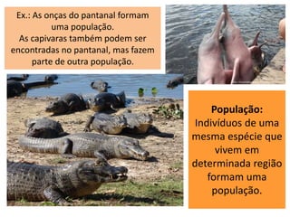 População:
Indivíduos de uma
mesma espécie que
vivem em
determinada região
formam uma
população.
Ex.: As onças do pantanal formam
uma população.
As capivaras também podem ser
encontradas no pantanal, mas fazem
parte de outra população.
 