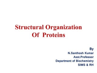 Structural Organization
Of Proteins
By
N.Santhosh Kumar
Asst.Professor
Department of Biochemistry
SIMS & RH
 