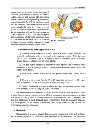 Sinais Vitais
possam ser comprimidas contra uma superfí-
cie firme (normalmente um osso). As artérias
radiais, ao nível dos punhos, são mais comu-
mente usadas na checagem do pulso em víti-
mas conscientes. As artérias carótidas, ao ní-
vel do pescoço, são normalmente usadas
para palpação do pulso em vítimas inconsci-
entes. Pode-se também sentir o pulso palpan-
do as seguintes artérias: femoral na raiz da
coxa, braquial no braço, axilar na axila e pedi-
oso no dorso do pé. Também podermos medir
o pulso pela ausculta cardíaca, no ápice ou
ponta do coração, no lado esquerdo do tórax,
levemente abaixo do mamilo (pulso apical).
1.4. Procedimentos para Palpação do Pulso
1) Relaxe a vítima. Para palpar o pulso radial, mantenha o braço da vítima des-
cansando confortavelmente, preferencialmente cruzando a parte inferior do tórax.
Para o pulso carotídeo, palpe a cartilagem tireóide no pescoço (pomo de Adão) e
deslize os dedos lateralmente até sentir o pulso.
2) Use dois ou três dedos para encontrar e sentir o pulso. Use somente a ponta
dos dedos e nunca o polegar (usando o polegar o examinador poderá sentir seu
próprio pulso digital).
3) Evite muita pressão. Pressionando forte poderá interromper o pulso da víti-
ma.
4) Sinta e conte o pulso durante 30 ou 60 segundos (se contar por 30 segun-
dos, multiplique por dois). Use relógio que marque os segundos.
5) Anote a freqüência, o ritmo e o volume do pulso, bem como a hora da medi-
ção. Exemplo: Pulso - 72, regular, cheio, 10h50min.
Em vítima com doença cardíaca, o ideal é medir o pulso durante um minuto. Sentir
o pulso de uma criança muito pequena é difícil: o pescoço de comprimento curto e, algu-
mas vezes, rico em gordura, torna difícil localizar o pulso carotídeo, sendo recomendável
que seja pesquisado o pulso braquial. Com o crescimento torna-se possível a palpação
dos vasos periféricos. Ao atender uma criança pesquise os diversos locais de pulso até
encontrar aquele mais acessível.
2. Respiração
Respiração é o processo através do qual ocorre troca gasosa entre a atmosfera e
as células do organismo. É composta pela ventilação e pela hematose. Na ventilação
- 84 -
Fig. 6.4 - Hematose.
 