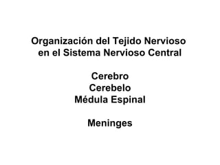 Organización del Tejido Nervioso
 en el Sistema Nervioso Central

           Cerebro
          Cerebelo
        Médula Espinal

           Meninges
 