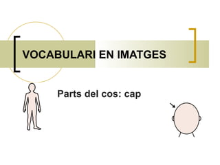 VOCABULARI EN IMATGES Parts del cos: cap 