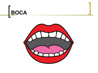 BOCA 