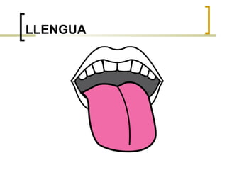 LLENGUA 