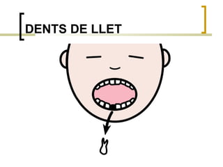 DENTS DE LLET 