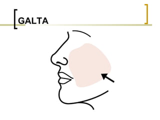 GALTA 