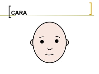 CARA 