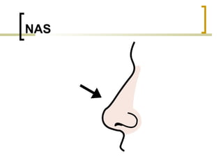 NAS 