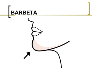 BARBETA 