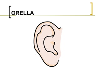 ORELLA 