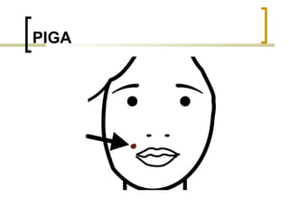 PIGA 
