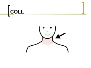 COLL 