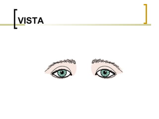 VISTA 