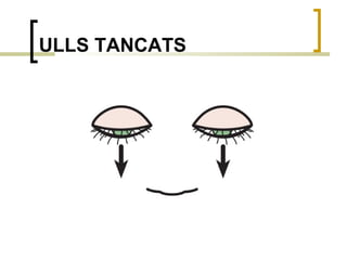 ULLS TANCATS 