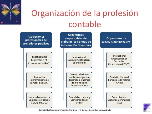 Necesidades Que Originan La Profesion De Contabilidad