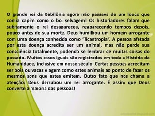 O grande rei da Babilônia agora não passava de um louco que
comia capim como o boi selvagem! Os historiadores falam que
subitamente o rei desapareceu, reaparecendo tempos depois,
pouco antes de sua morte. Deus humilhou um homem arrogante
com uma doença conhecida como “licantropia”. A pessoa afetada
por esta doença acredita ser um animal, mas não perde sua
consciência totalmente, podendo se lembrar de muitas coisas do
passado. Muitos casos iguais são registrados em toda a História da
Humanidade, inclusive em nosso século. Certas pessoas acreditam
ser bois ou vacas e agem como estes animais ao ponto de fazer os
mesmos sons que estes emitem. Outro fato que nos chama a
atenção: Deus derrubou um rei arrogante. É assim que Deus
converte a maioria das pessoas!
 
