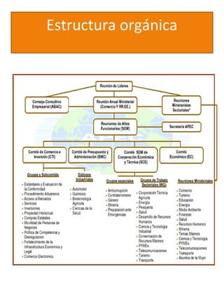 Estructura orgánica
 