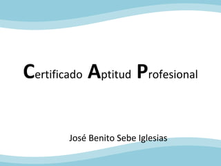 Certificado Aptitud Profesional
José Benito Sebe Iglesias
 